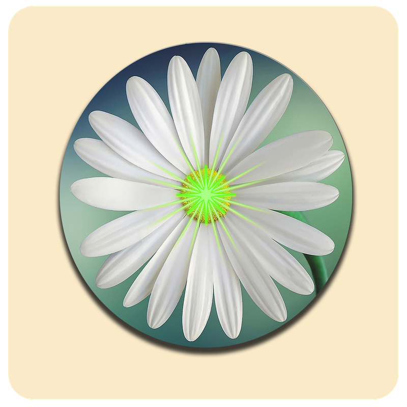 Leuchtende LED-Untersetzer mit gratis Ersatzbatterien | Design: Blume
