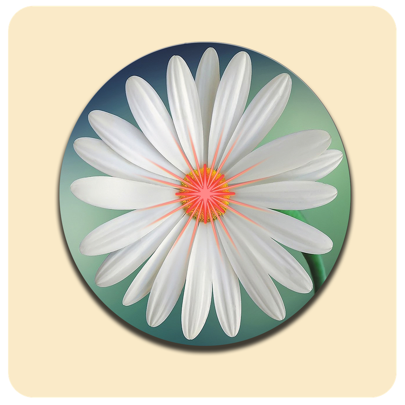 Leuchtende LED-Untersetzer mit gratis Ersatzbatterien | Design: Blume